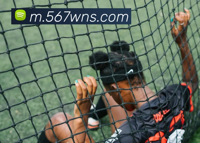 奖项证书